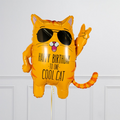 Cool Cat Birthday Vibes Inflated Balloon Package