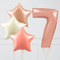 Inflated Rose Gold Pastel Birthday Balloon Number (One Number)