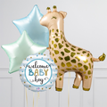 Baby Boy Giraffe Inflated Balloon Package