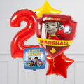 Marshall Paw Patrol Inflated Birthday Crazy Balloon Bunch