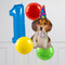 Party Dog Inflated Birthday Crazy Balloon Bunch