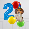 Party Dog Inflated Birthday Crazy Balloon Bunch